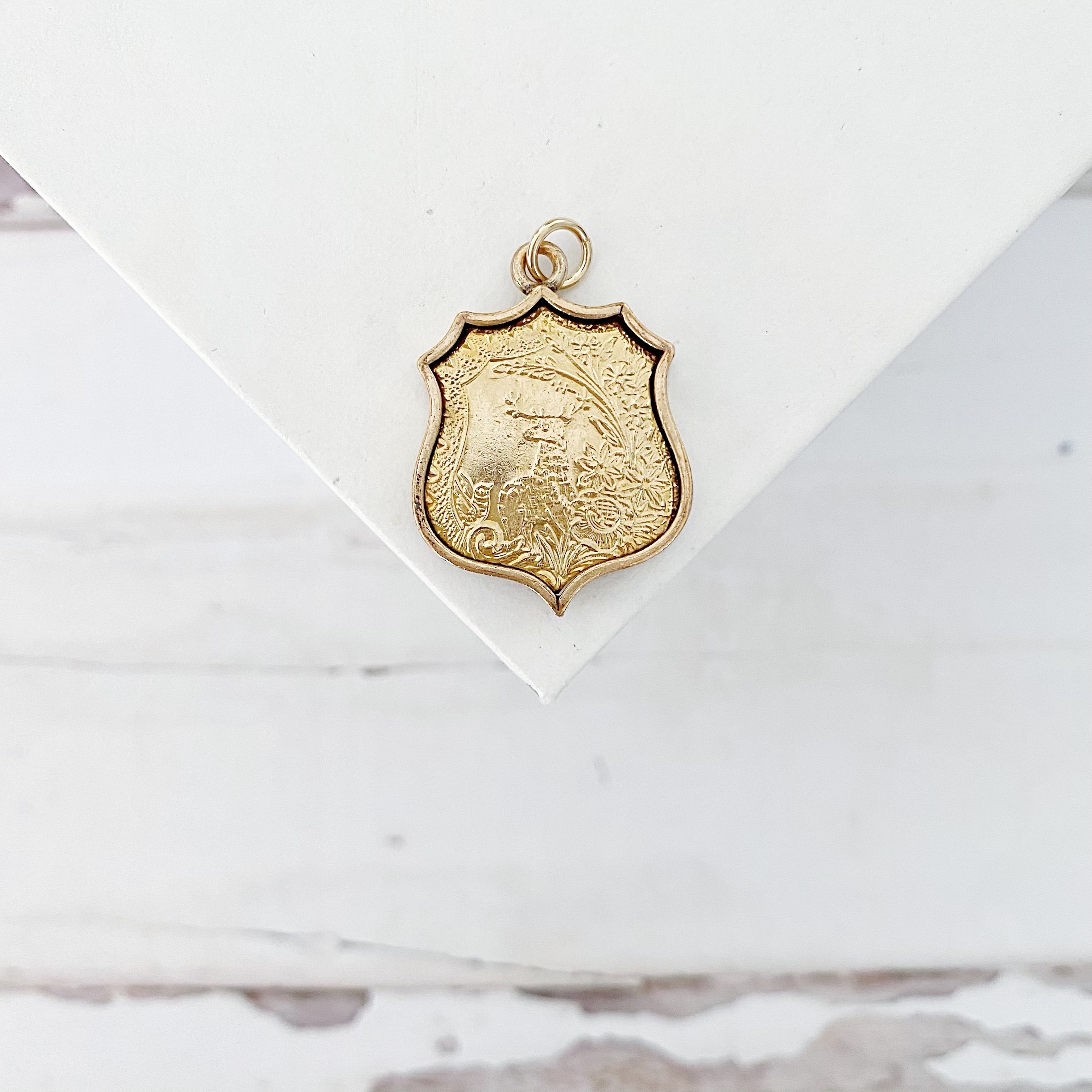 Antique Knights of Pythias Shield Shape Skull and Crossbones Watch Fob - Image 3